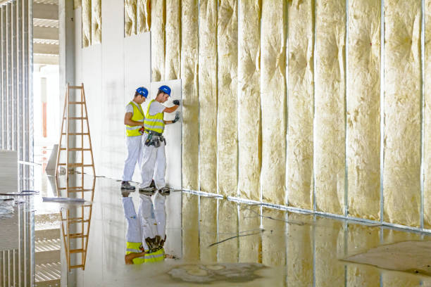Best Commercial Insulation in Troutman, NC
